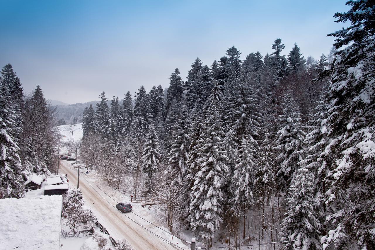 Apartamenty Sun & Snow Zielona Krynica Zdroj Exterior foto