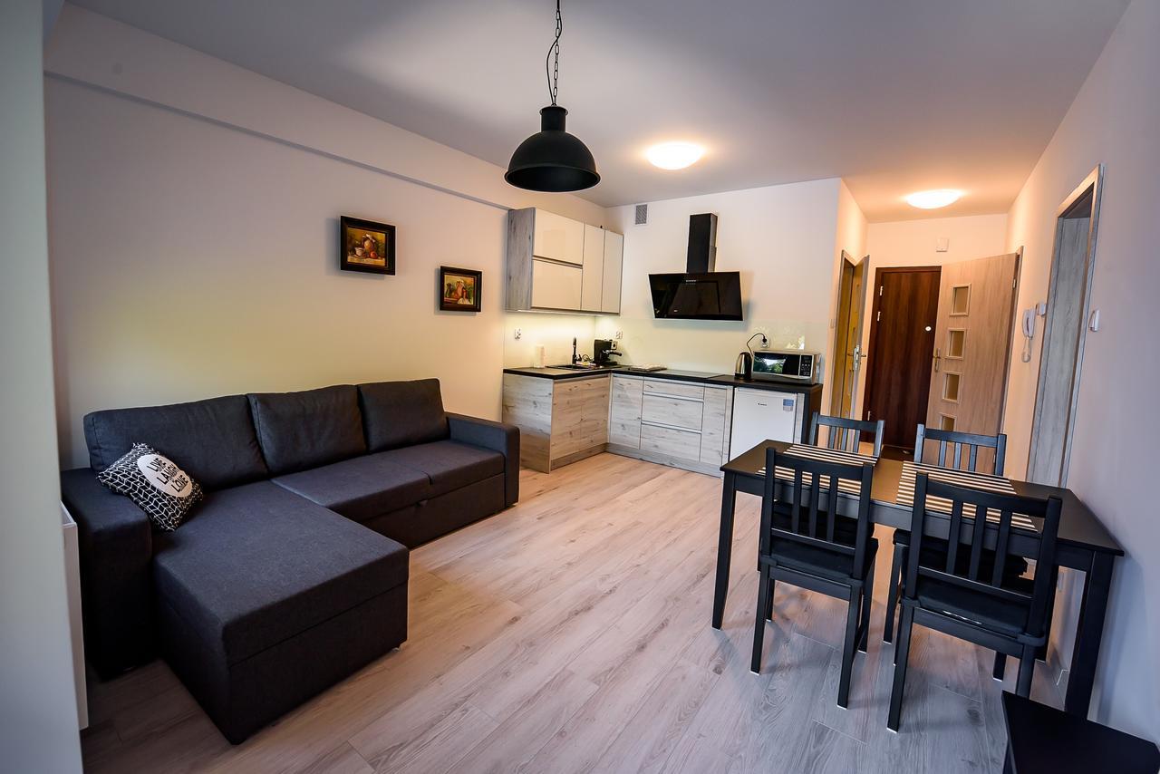 Apartamenty Sun & Snow Zielona Krynica Zdroj Exterior foto